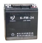 FM型6V、12V系列電池